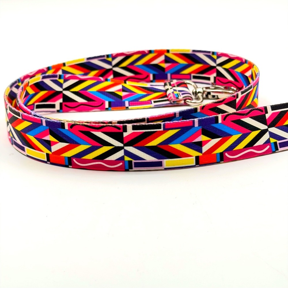 Myraโ Bag Geometric Multi-Color Adjustable Replacement Handbag Strap New